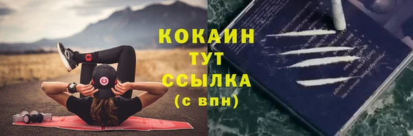 индика Куйбышев