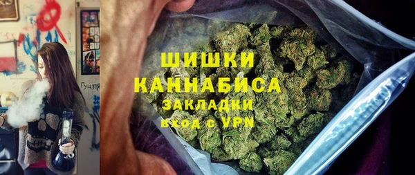 индика Куйбышев