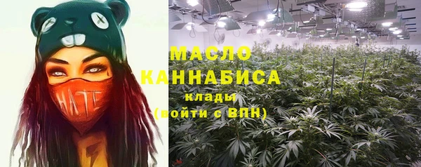 индика Куйбышев