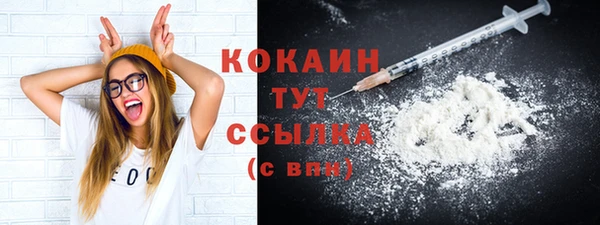 индика Куйбышев