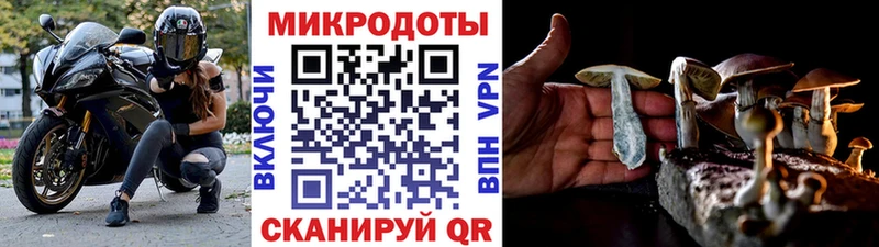 Купить  Хадыженск  Псилоцибиновые грибы Magic Shrooms 